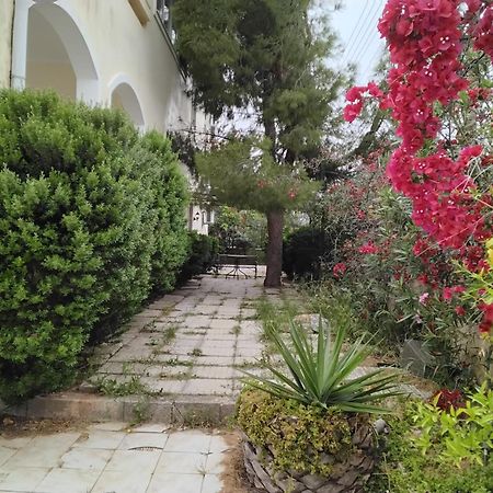 شقة Peaceful Oasis أثينا المظهر الخارجي الصورة
