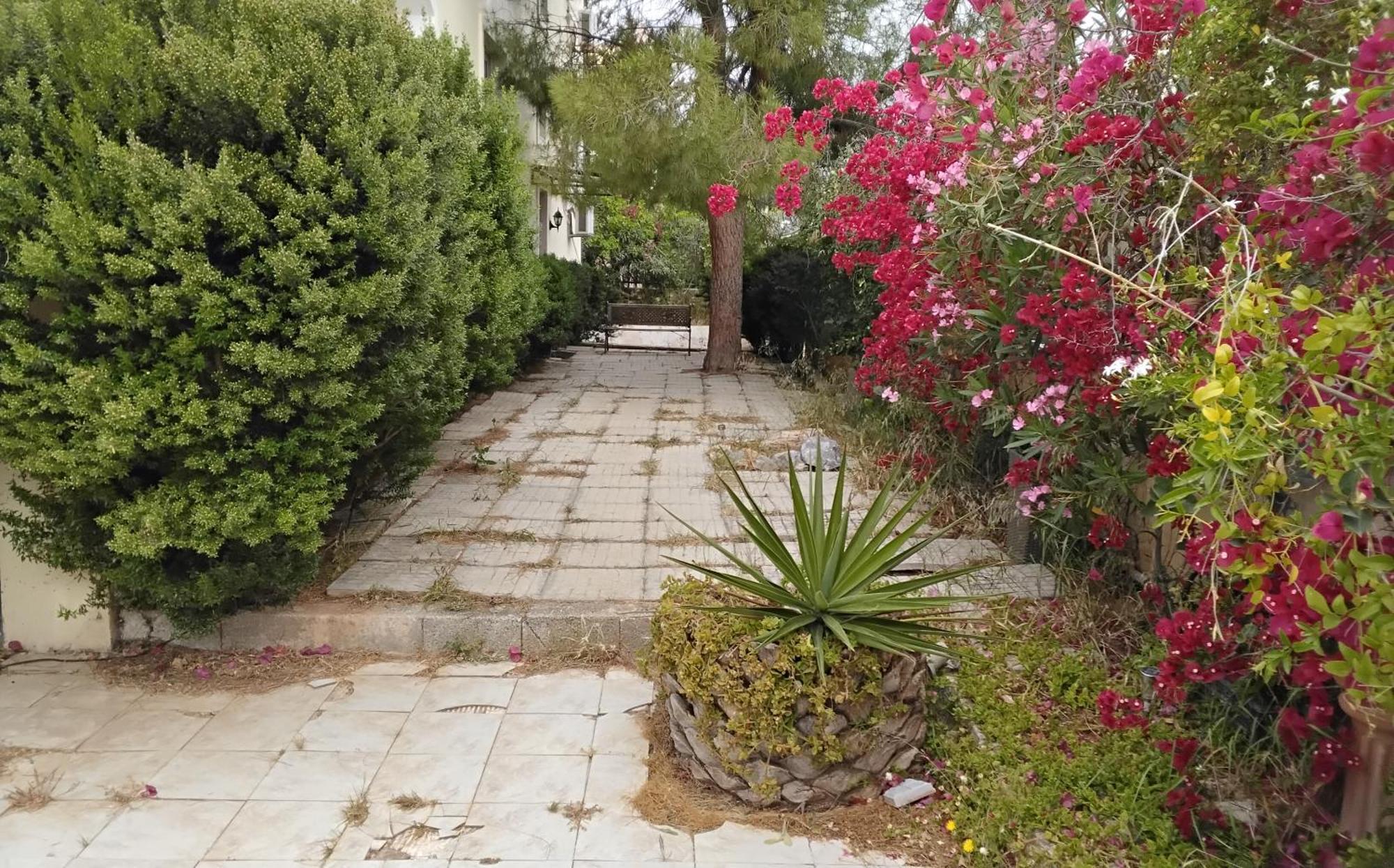 شقة Peaceful Oasis أثينا الغرفة الصورة